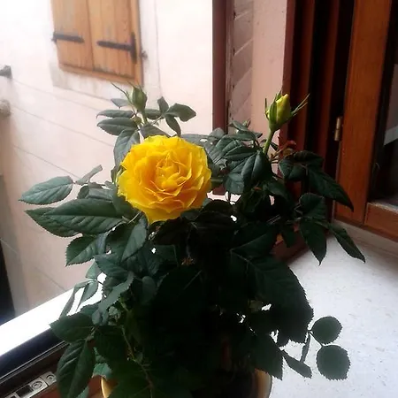 Dobra