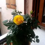Dobra