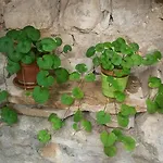Apartment Dobra